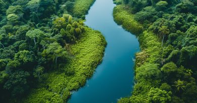 Contribuições Do CATF Para A Preservação Da Biodiversidade