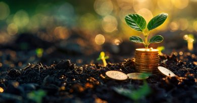 O Fundo CATF E Seu Impacto Na Economia Verde