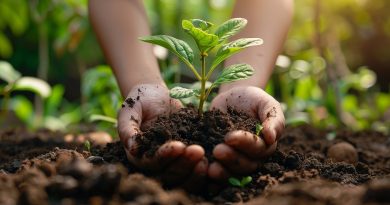 Projetos De Educação E Treinamento Ambiental Do CATF