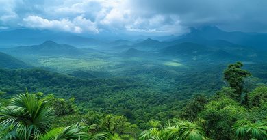 Estratégias Do CATF Para Promover O Desenvolvimento Sustentável