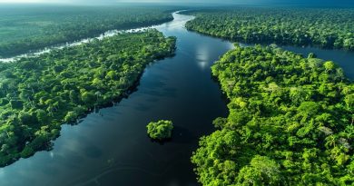 Projetos De Restauração Ecológica Financiados Pelo CATF