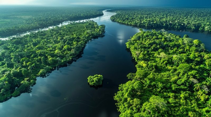 Projetos De Restauração Ecológica Financiados Pelo CATF