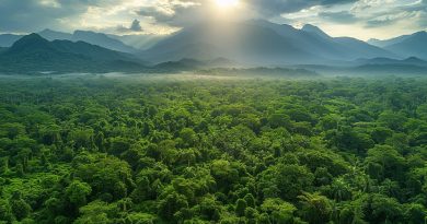 Colaborações Do CATF Em Conservação De Ecossistemas